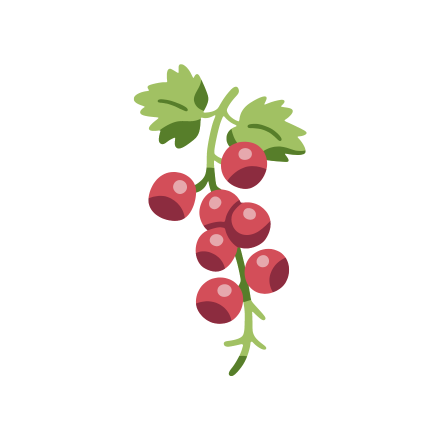 Imagen grosella