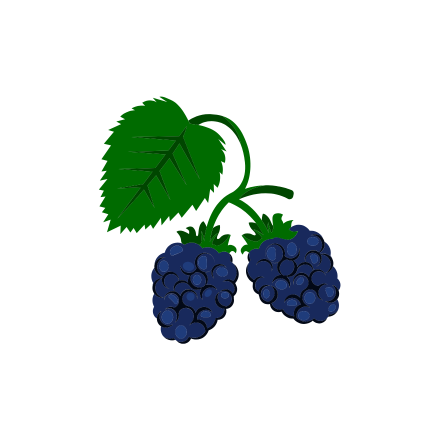 mora